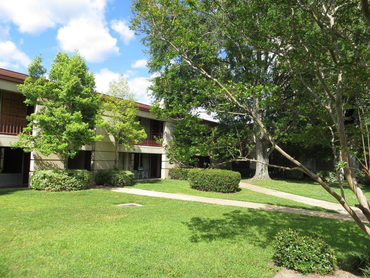 Olive Tree Hotel And Banquet Halls Jackson Exterior photo